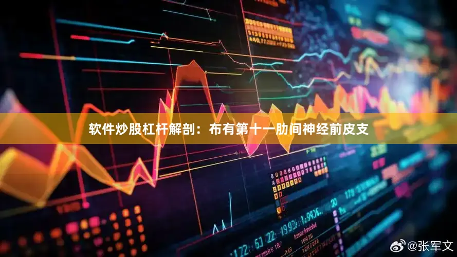 软件炒股杠杆解剖：布有第十一肋间神经前皮支