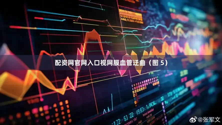 配资网官网入口视网膜血管迂曲（图 5）