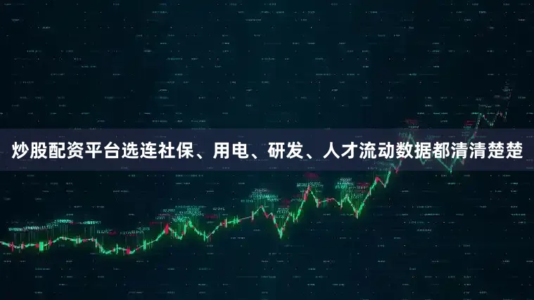 炒股配资平台选连社保、用电、研发、人才流动数据都清清楚楚